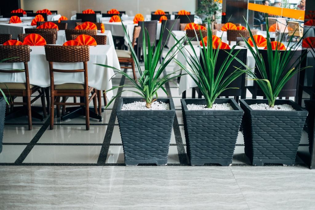 Alpha Hotel Пеканбару Екстериор снимка